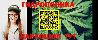 ГАЛЛЮЦИНОГЕННЫЕ ГРИБЫ Гулькевичи